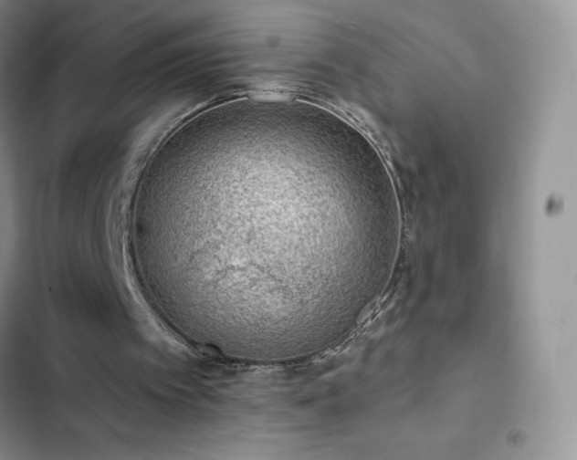 X0000102870097200808181515