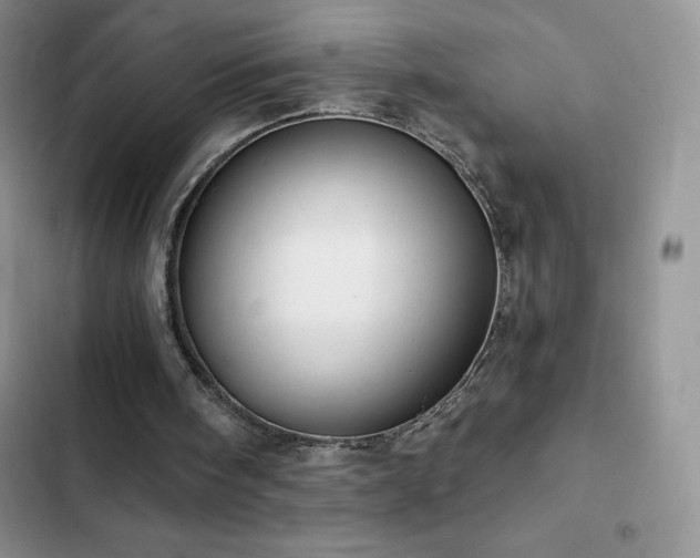 X0000102870098200808181515