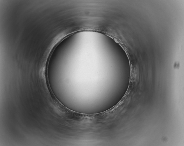 X0000102870099200808181515