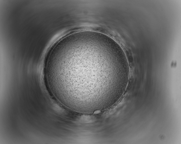 X0000102870101200808181515