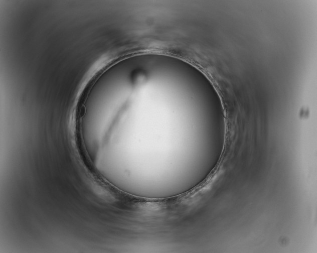 X0000102870102200808181515