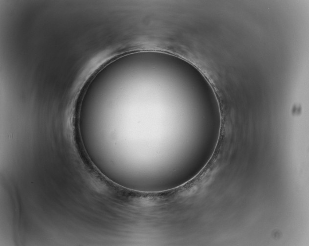 X0000102870103200808181515
