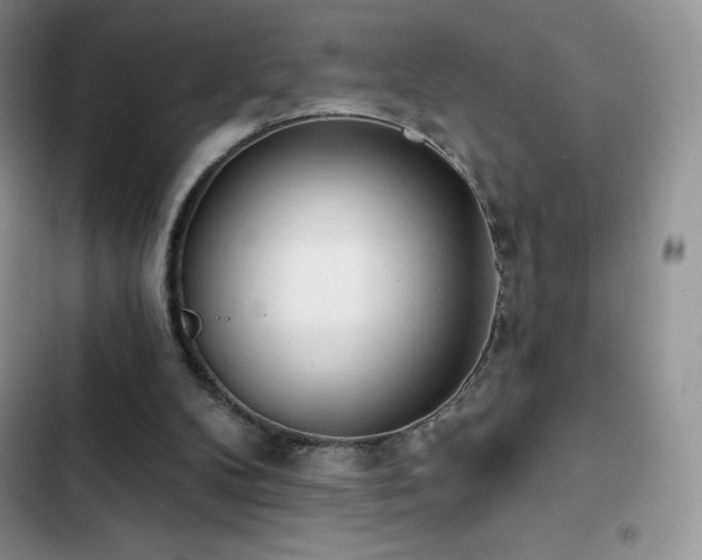 X0000102870104200808181515