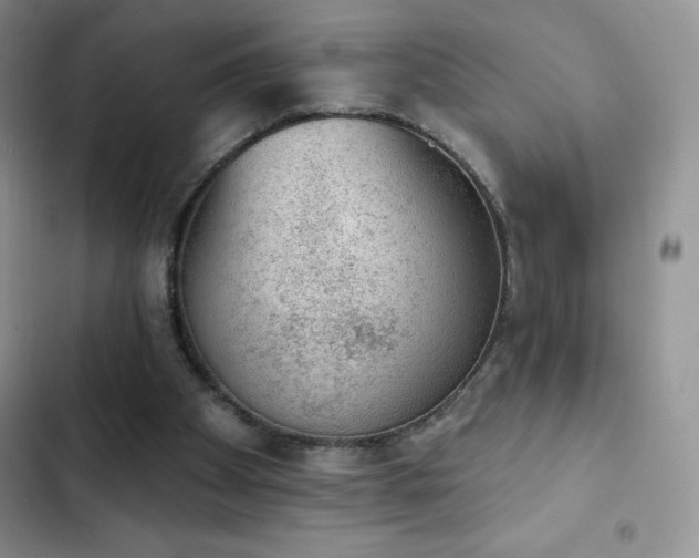 X0000102870105200808181515