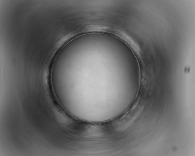 X0000102870107200808181515