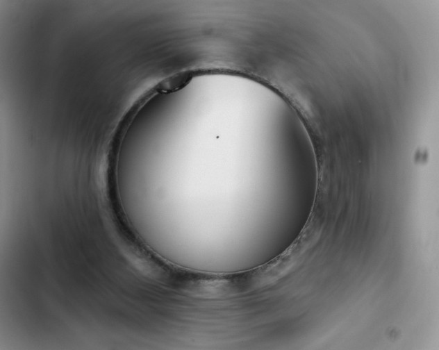 X0000102870108200808181515