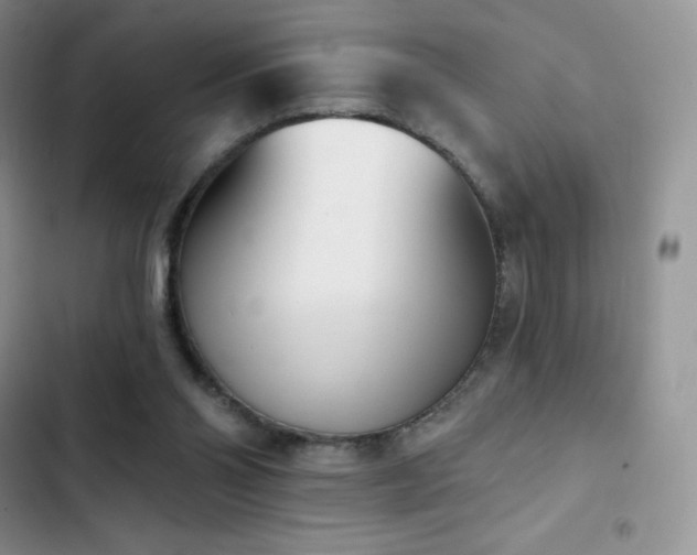 X0000102870110200808181515