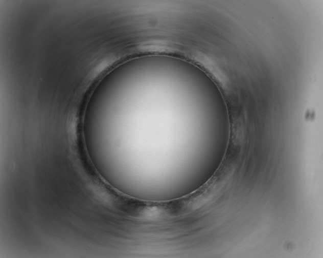 X0000102870111200808181515