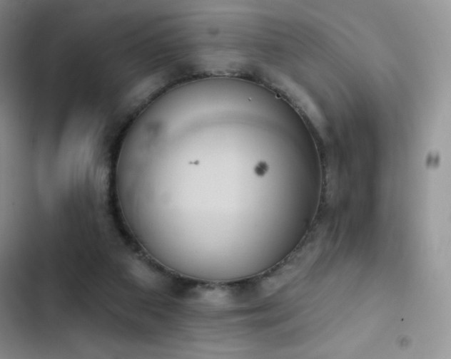 X0000102870113200808181515