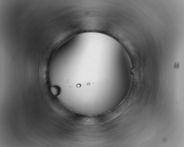 X0000102870115200808181515