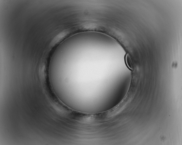 X0000102870116200808181515