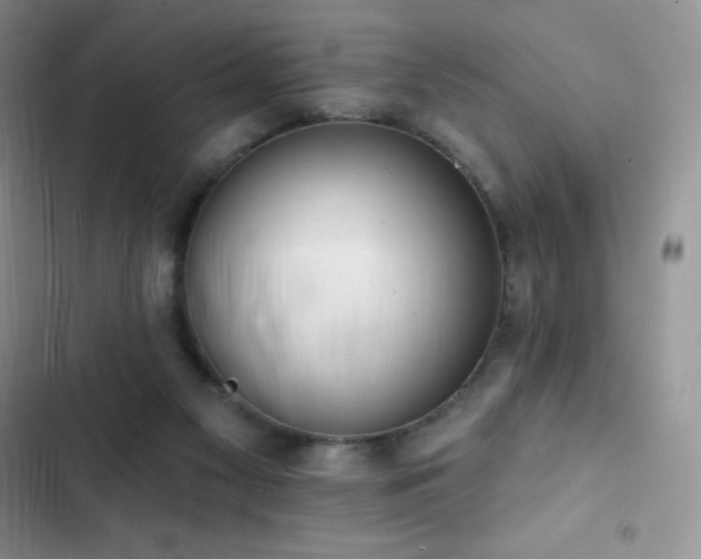 X0000102870117200808181515