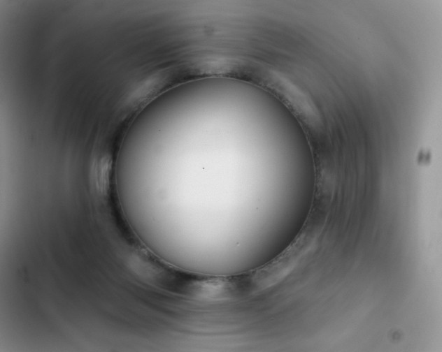 X0000102870118200808181515