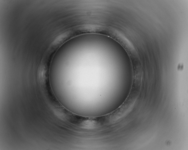 X0000102870119200808181515