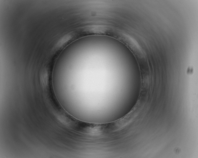 X0000102870120200808181515