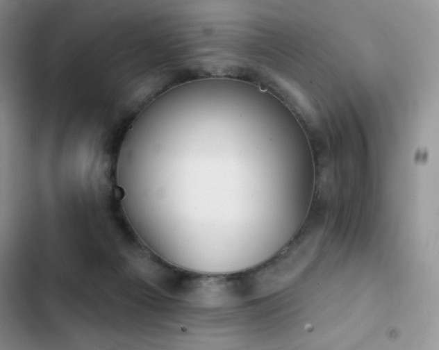 X0000102870121200808181515