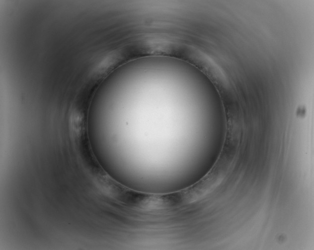 X0000102870123200808181515