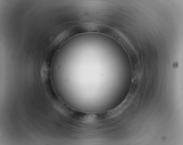 X0000102870124200808181515