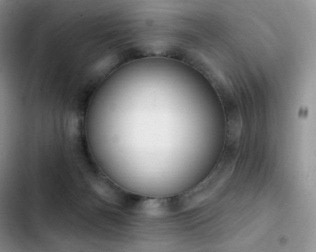 X0000102870126200808181515