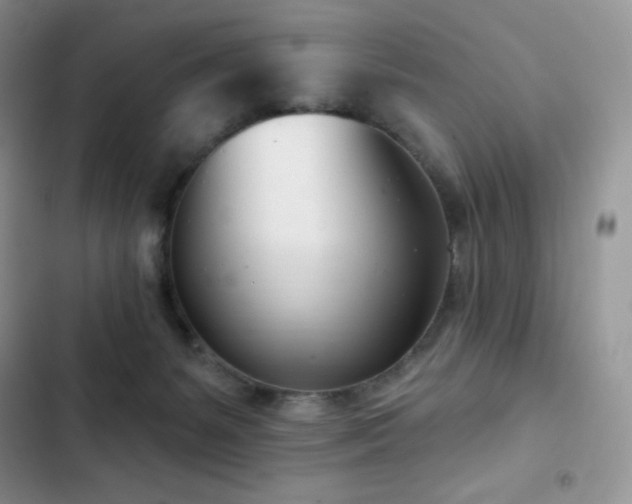 X0000102870127200808181515