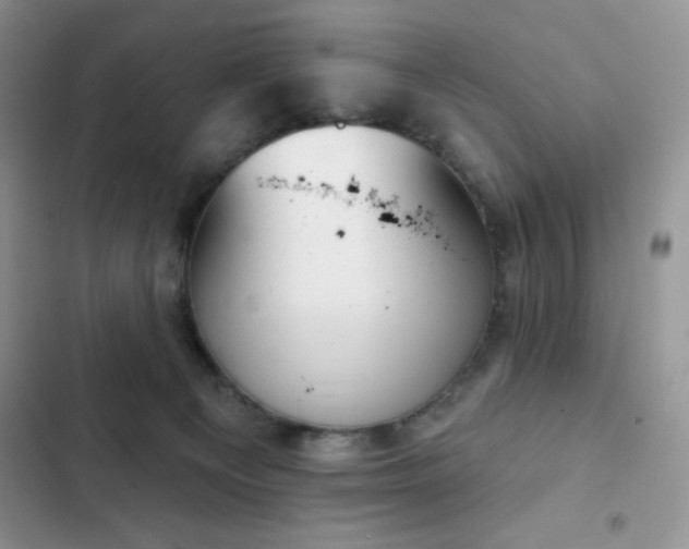 X0000102870129200808181515