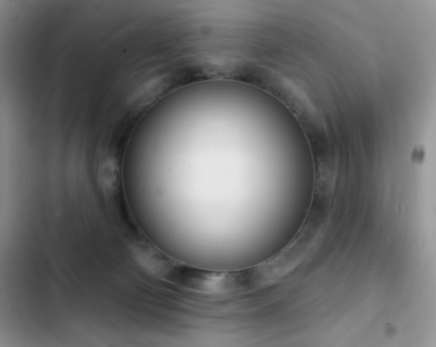 X0000102870130200808181515