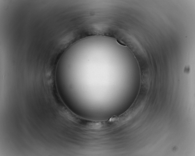 X0000102870131200808181515