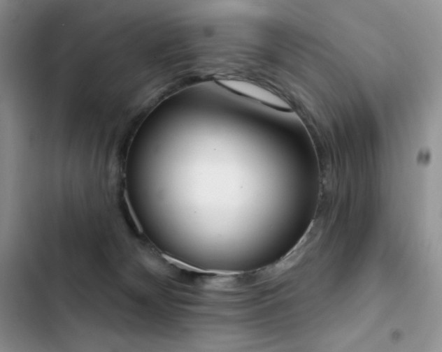 X0000102870132200808181515