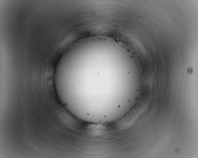 X0000102870133200808181515