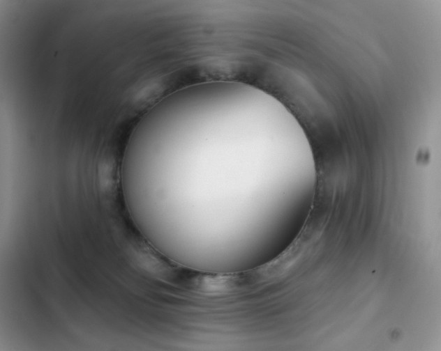 X0000102870134200808181515
