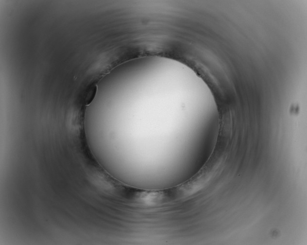 X0000102870135200808181515