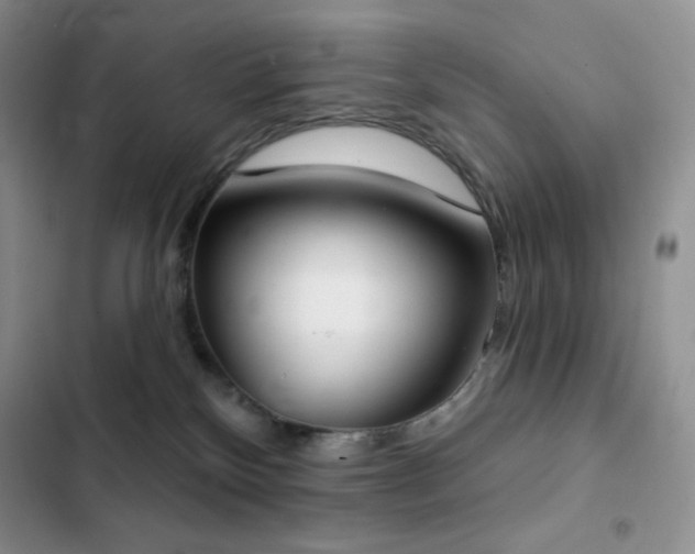 X0000102870136200808181515