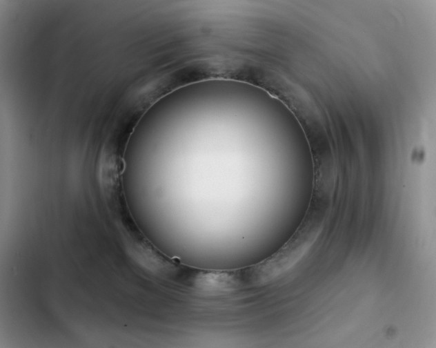 X0000102870137200808181515