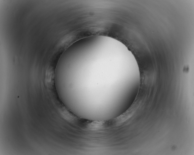 X0000102870138200808181515