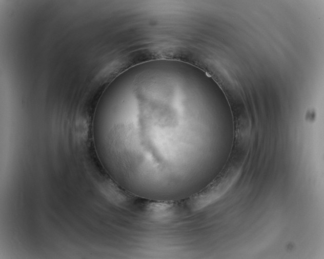 X0000102870139200808181515