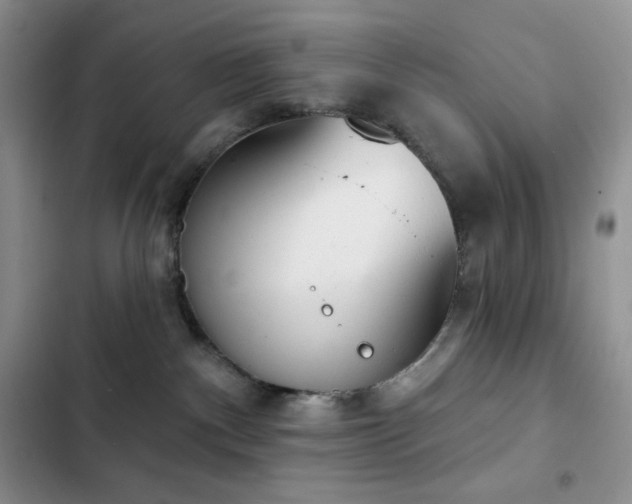 X0000102870140200808181515