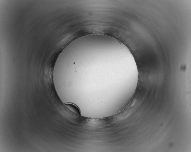 X0000102870141200808181515