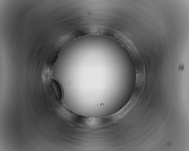 X0000102870142200808181515