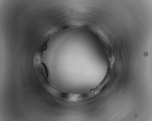 X0000102870143200808181515