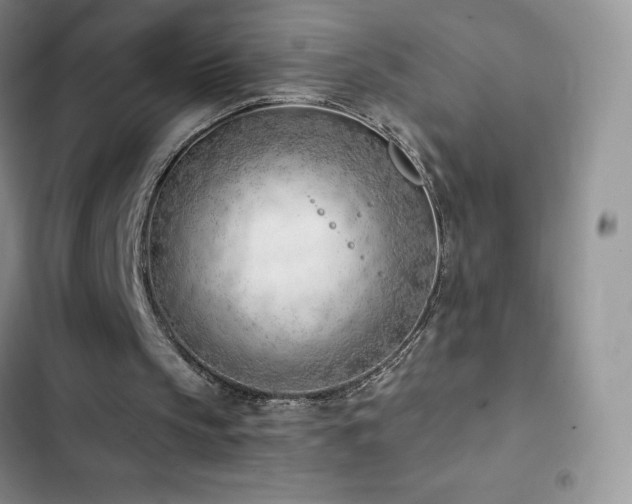 X0000102870145200808181514