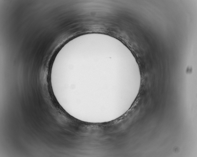 X0000102870146200808181514