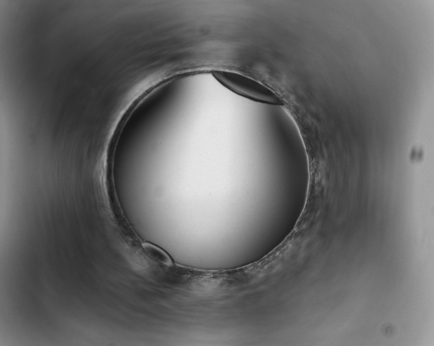 X0000102870148200808181514