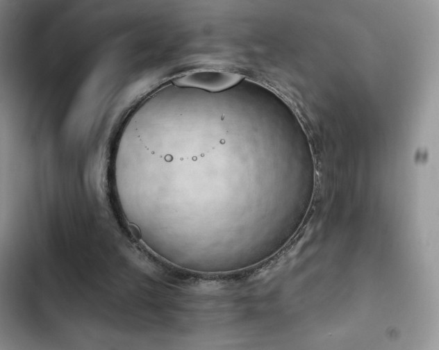 X0000102870149200808181514