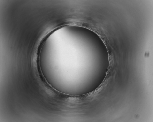 X0000102870150200808181514