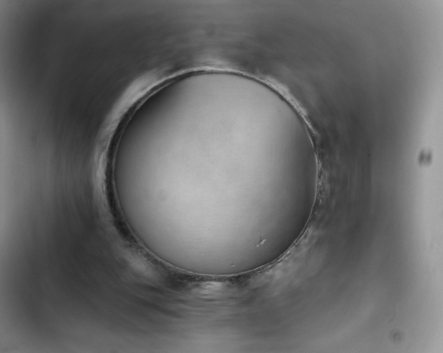 X0000102870151200808181514