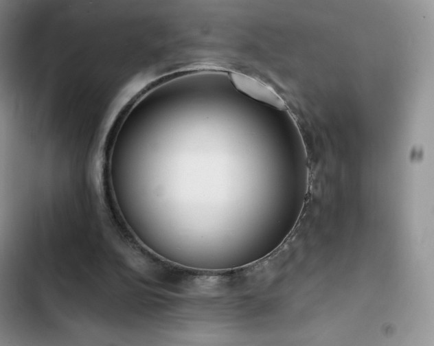 X0000102870152200808181514