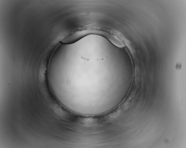 X0000102870153200808181514
