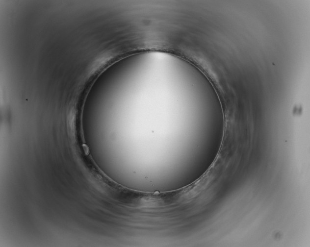 X0000102870154200808181514