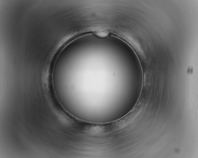 X0000102870156200808181514