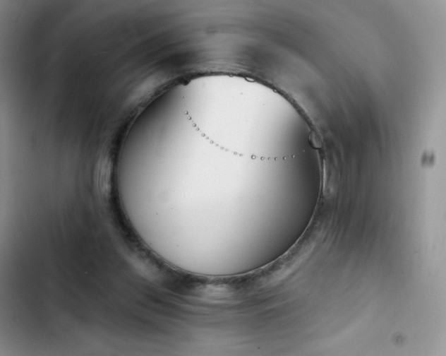 X0000102870157200808181514